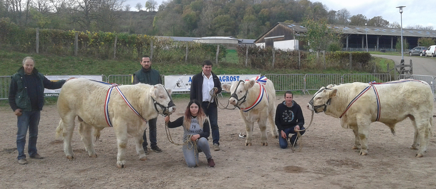 2017 10_29_10eme_Concours_Charolais_article