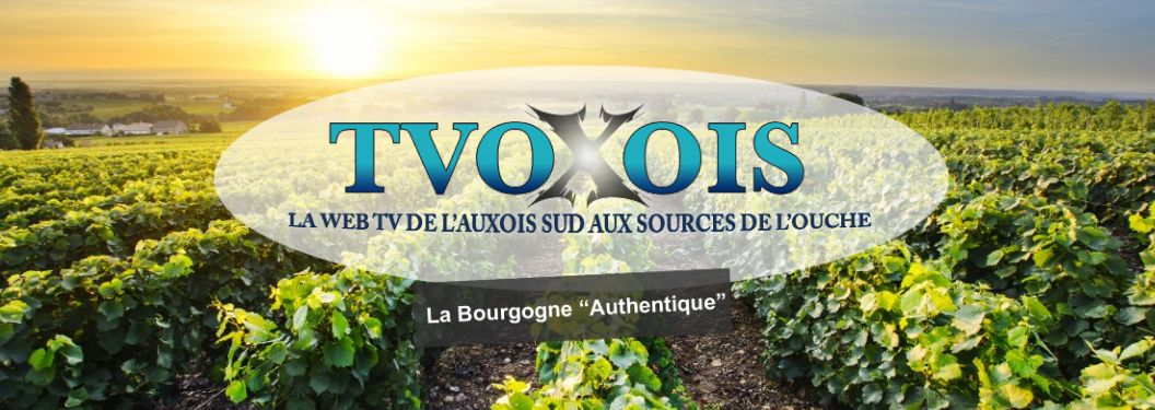 tvoxois accueil_bandeau