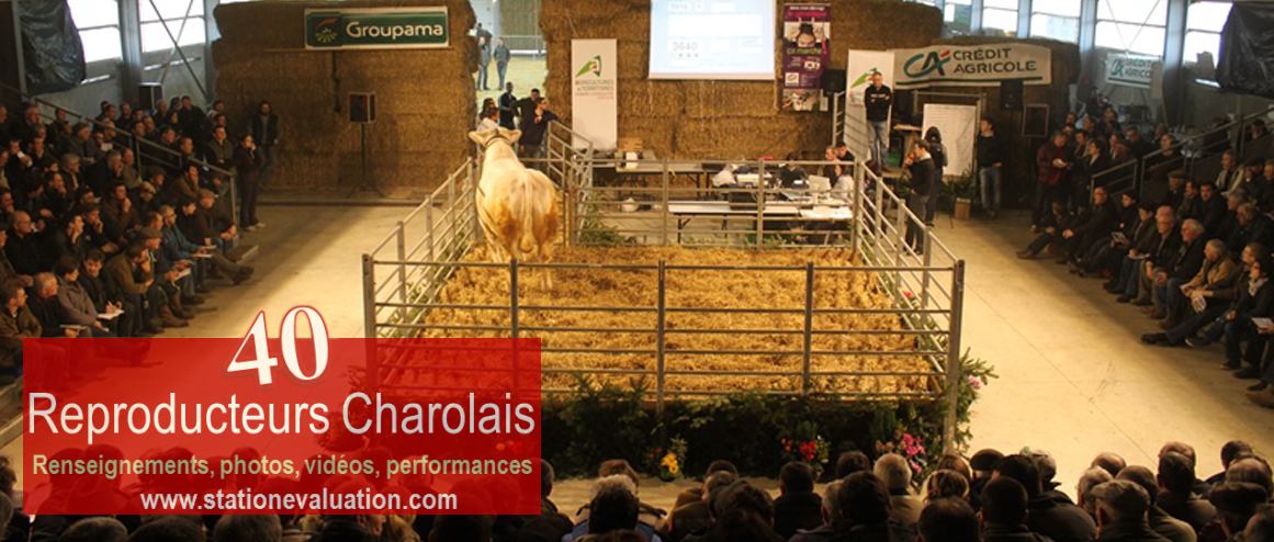 2018 02_09_vente_Charolais_article